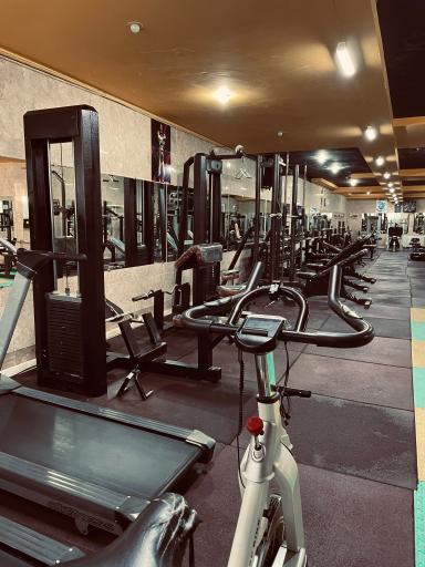 عکس باشگاه بدنسازی برادران نیمروزی