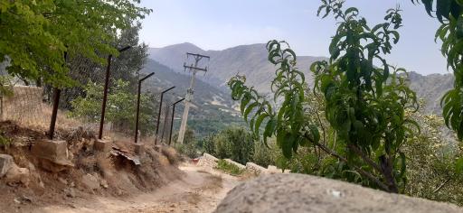 عکس کوخدان