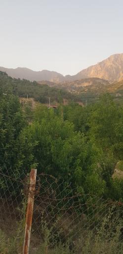 عکس کوخدان