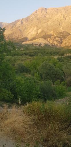 عکس کوخدان