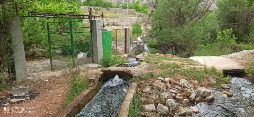 عکس کوخدان
