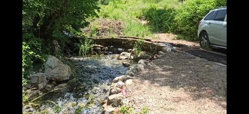 عکس کوخدان
