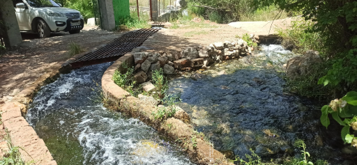 عکس کوخدان