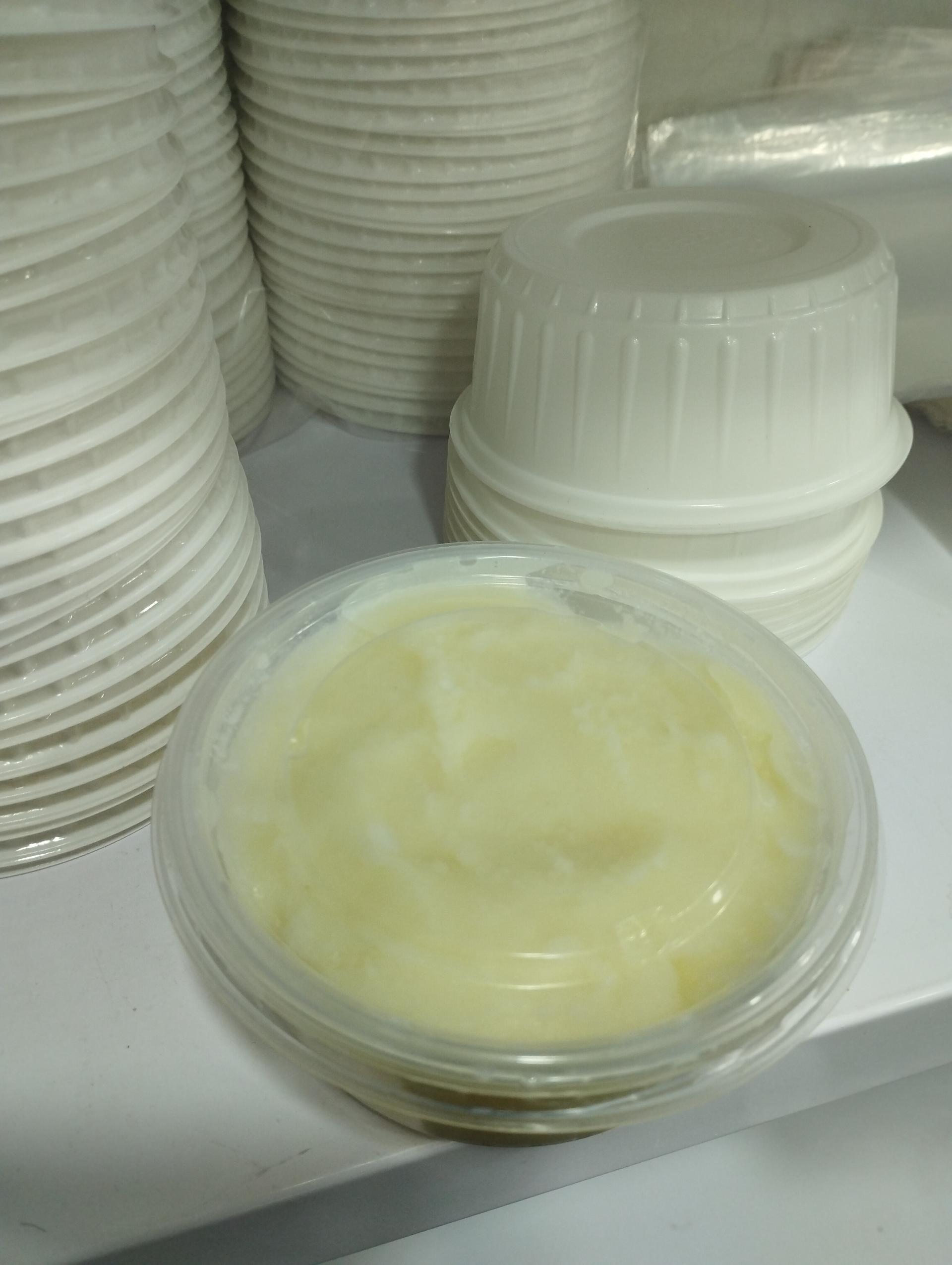 عکس لبنیات زیتون