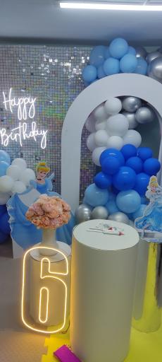 عکس خانه بازی کودک رز