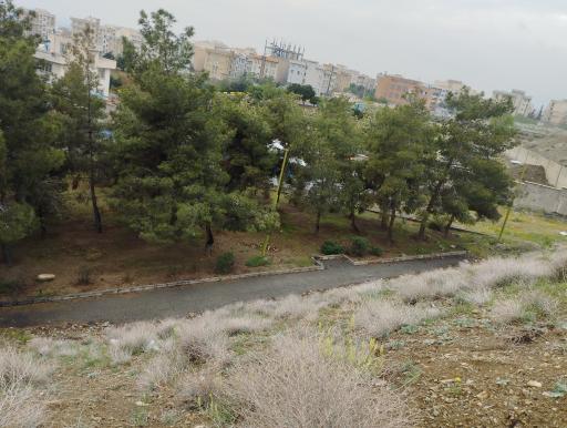 عکس بوستان میلاد