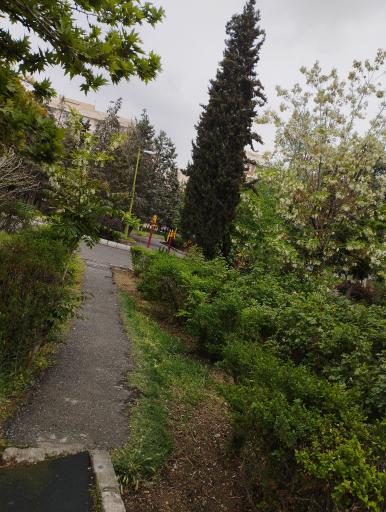 عکس بوستان میلاد