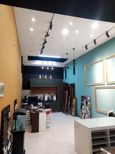 عکس امید دکور