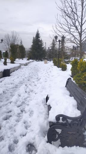 عکس بوستان آسیاب