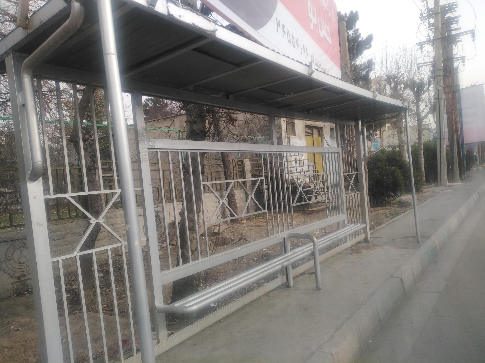 عکس نهال و بذر