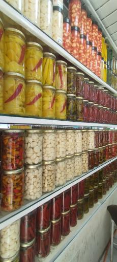 عکس زیتون مجتبی