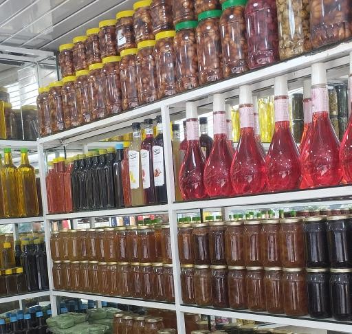 عکس زیتون مجتبی