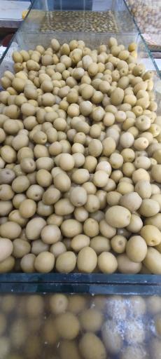 عکس زیتون مجتبی