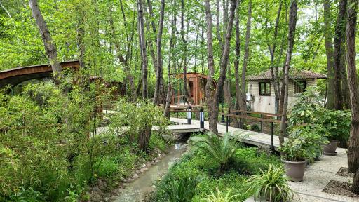 عکس کافه رستوران توسکا