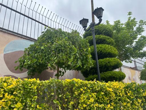 عکس بوستان آسیاب