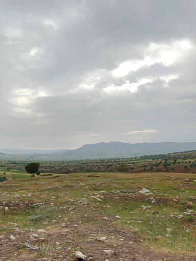 عکس چغا نقشینه 