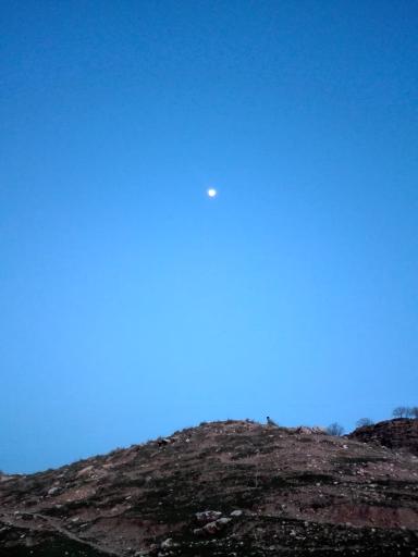 عکس چغا نقشینه 