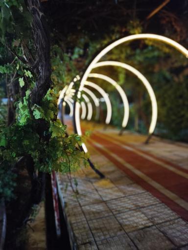 عکس باغ رستوران دومینو (جمیرا سابق)