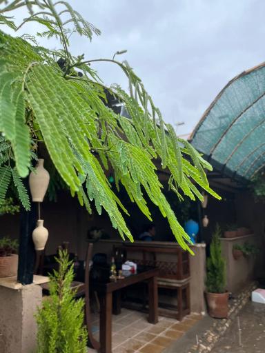 عکس کافی شاپ آرامش