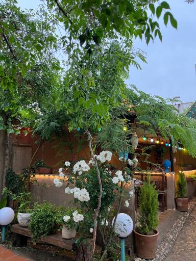 عکس کافی شاپ آرامش