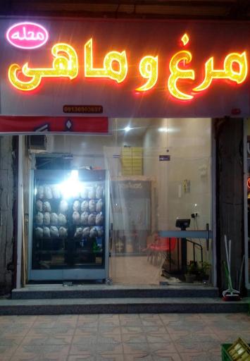 عکس مرغ و ماهی محله