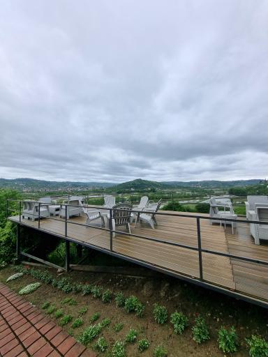 عکس هتل درختی قلک