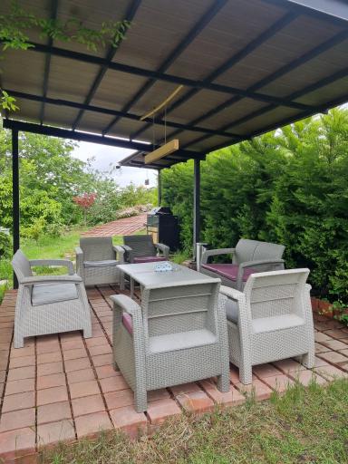 عکس هتل درختی قلک