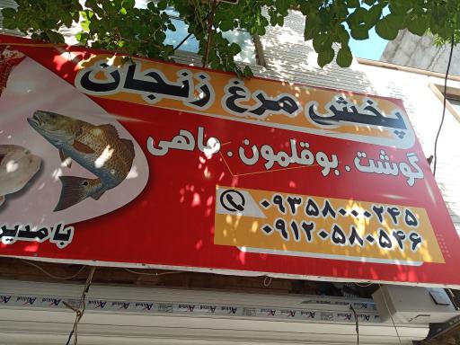 عکس پروتئین اصغر