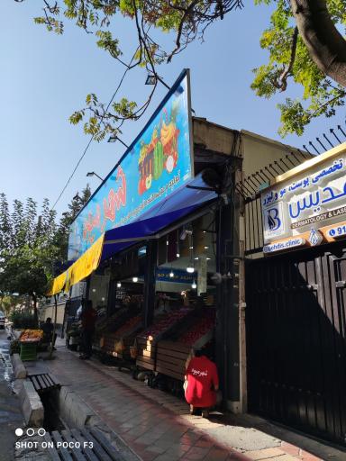 عکس شهر میوه