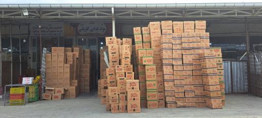 عکس پخش اطلس دینا چی توز( آل رسول )