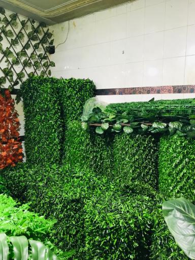 عکس مجموعه شهر چمن