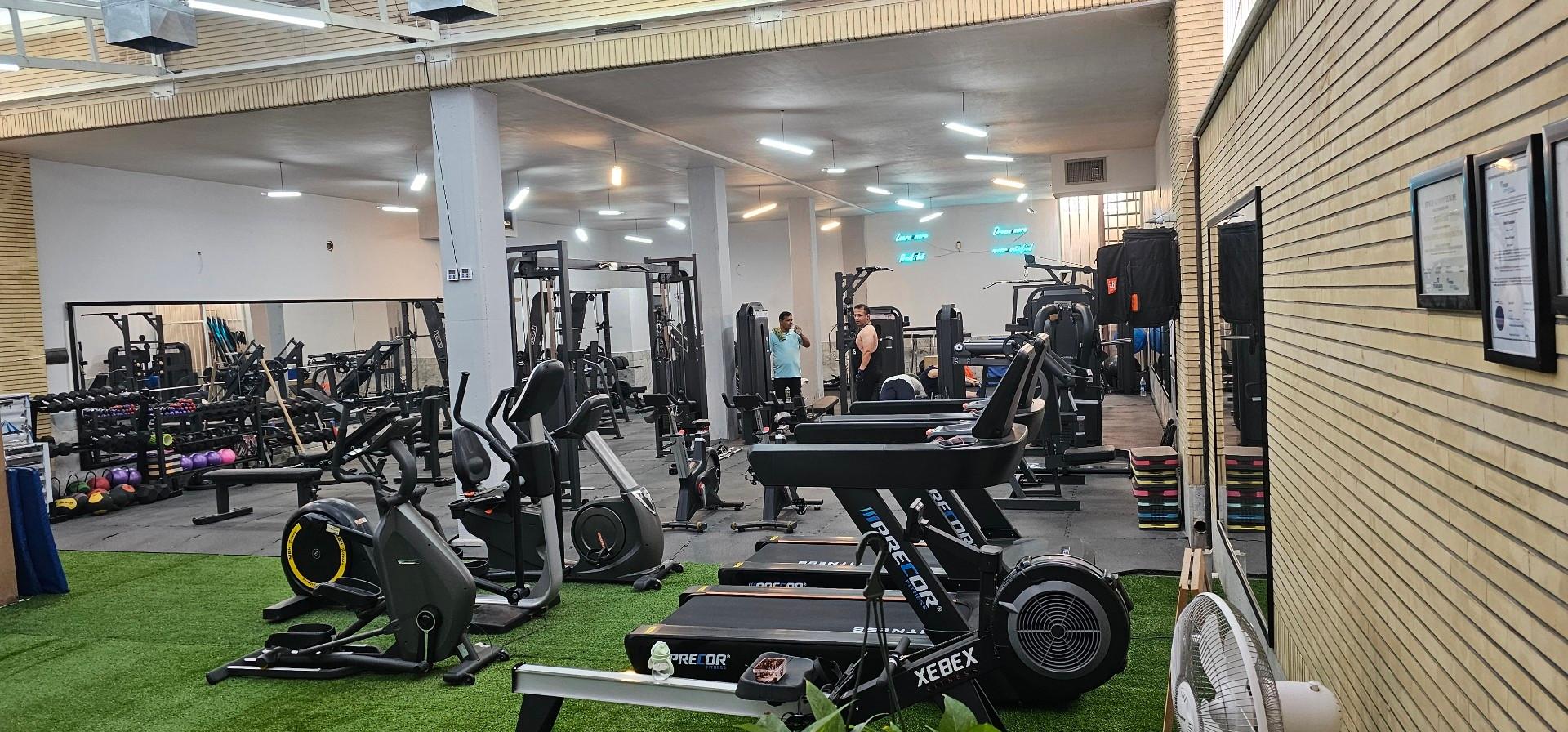 عکس باشگاه بدنسازی فونیکس