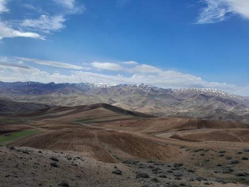 عکس تنگ پری علیا