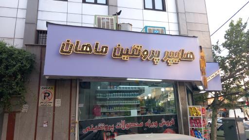 عکس هایپر پروتئین ماهان