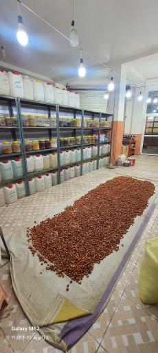 عکس مجموعه عرقیات و گیاهان دارویی یاشا پاشا