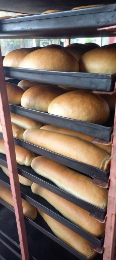 عکس سجاد فانتزی