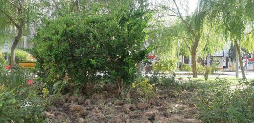 عکس پارک عرفان