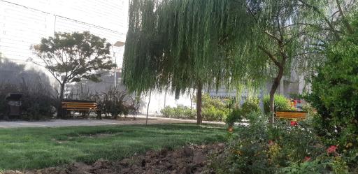 عکس پارک عرفان