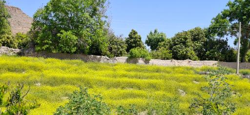 عکس آبشار مروارید