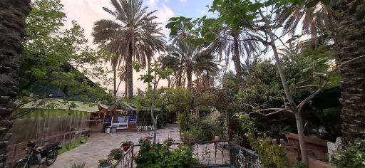 عکس آبشار مروارید