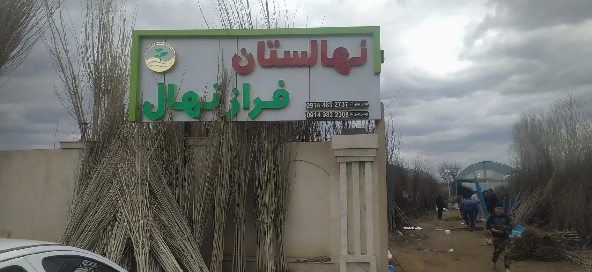 عکس نهالستان فرازنهال