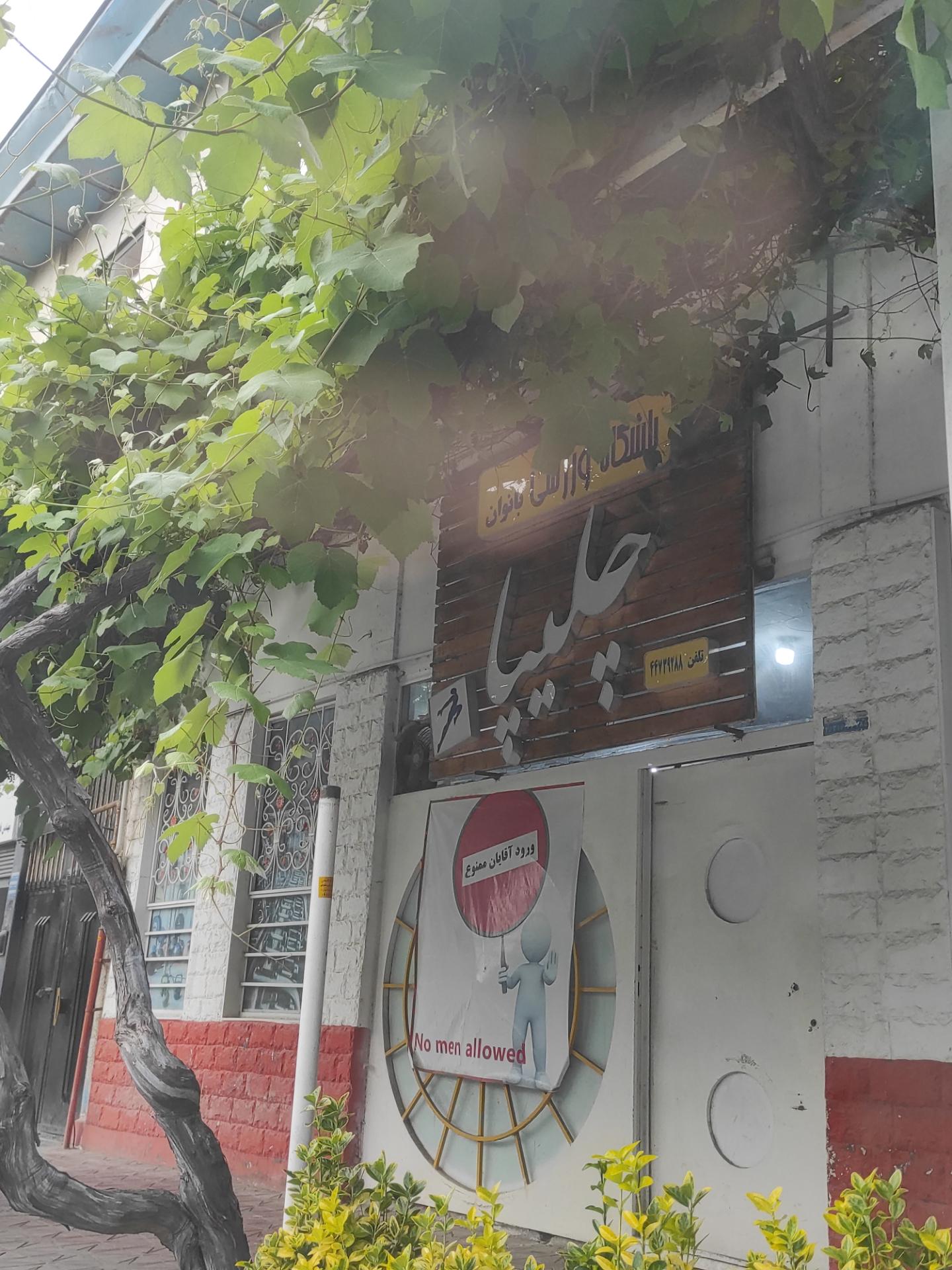 عکس باشگاه ورزشی بانوان چلیپا