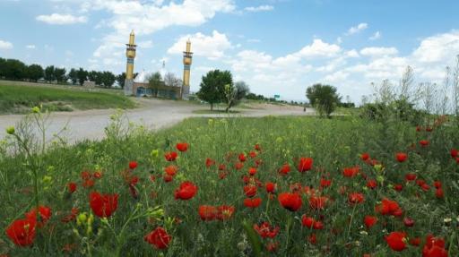 عکس امام زاده ابراهیم و مصطفی (ع)