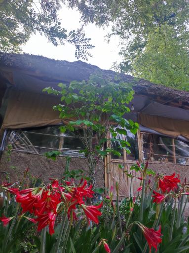 عکس اقامتگاه بومگردی گیلانه جان