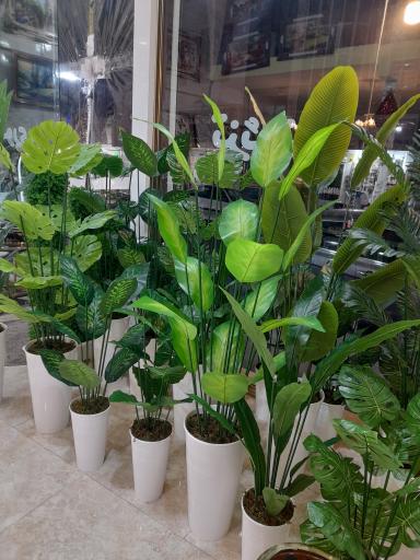 عکس گالری سنایی