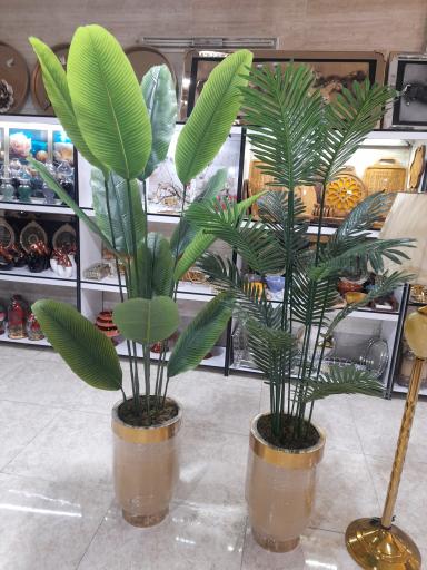 عکس گالری سنایی