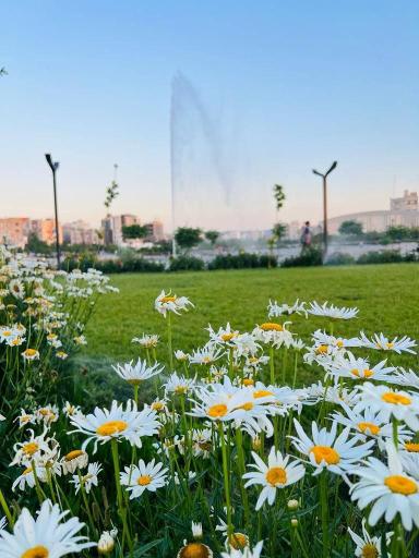 عکس کشت پارک