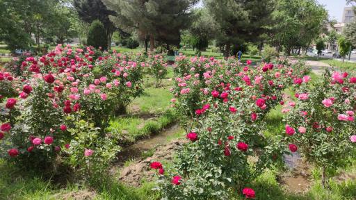 عکس پارک ساحلی