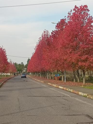 عکس دانشکده کشاورزی دانشگاه گیلان