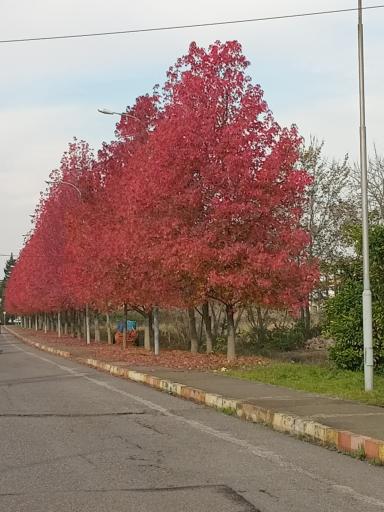 عکس دانشکده کشاورزی دانشگاه گیلان